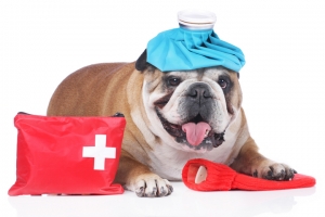 MERSİN - YENİŞEHİR Acil Müdahaleler ve Acil Servis